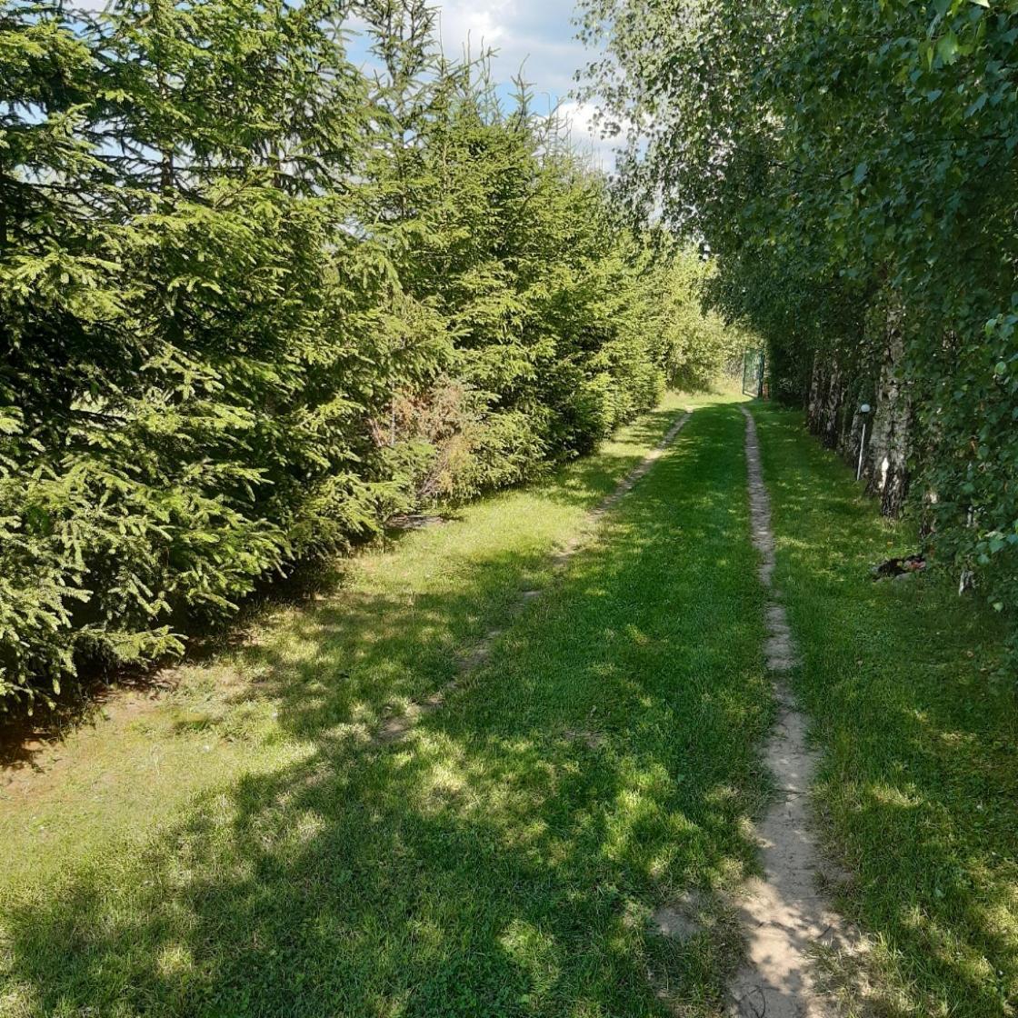 Domek W Kwiatach Zyndaki Exterior photo